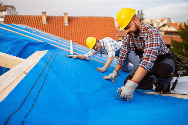 Best Gutter Installation and Roofing  in Conehatta, MS